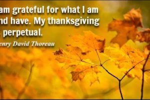 A Day Of Thanksgiving – More Than A Meal