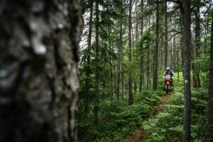 On-the-go at the KTM Adventure Rally Canada! Natural beauty is everywhere once you’re riding in the trails. Photo: Steve Shannon/KTM